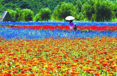 京郊农业的绿色变奏 生态服务价值提升百分之十四
