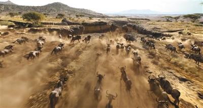 《狮子王》开创VR拍摄复刻非洲草原