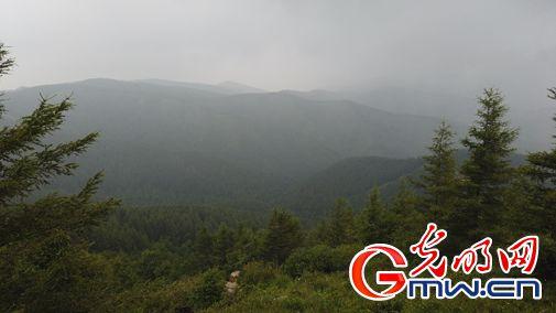 旅游产业续写苏木山人工林场绿色传奇
