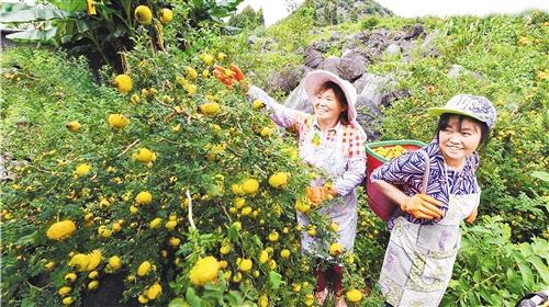 贵州：来一场深刻的农村经济产业革命
