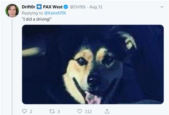美国一辆轿车街上遇“车祸” 肇事“司机”却是一只狗？