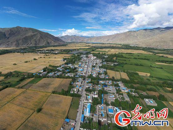 西藏民主改革第一村的教育新图景