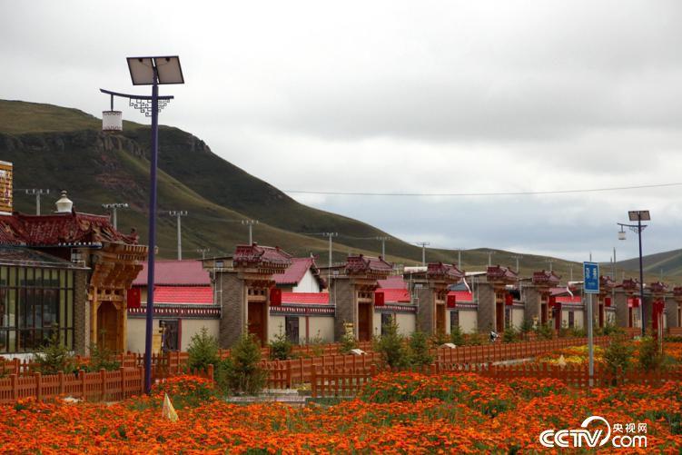 被誉为“生态旅游第一藏寨”的尕秀村(王甲铸/摄)
