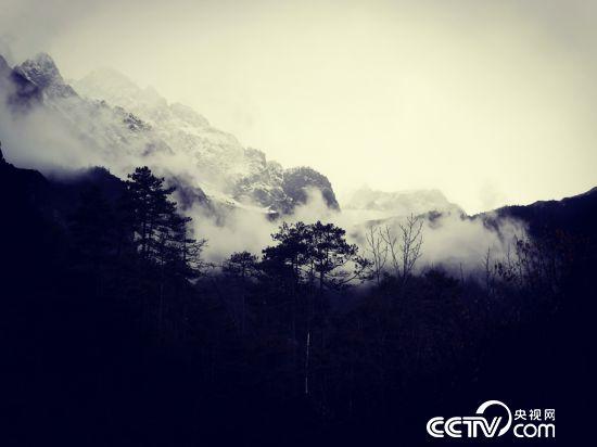 玉龙雪山核心区是长江上游最重要的生态屏障。(何川/摄)