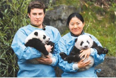 “熊猫先生”让·皮埃尔：“大熊猫宝宝是我们共同的牵挂”