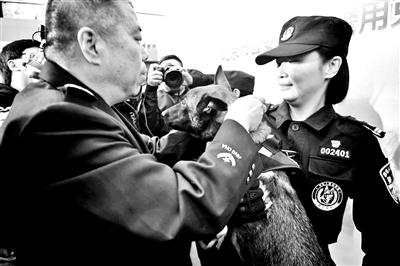 北京首批警用克隆犬正式“入警”