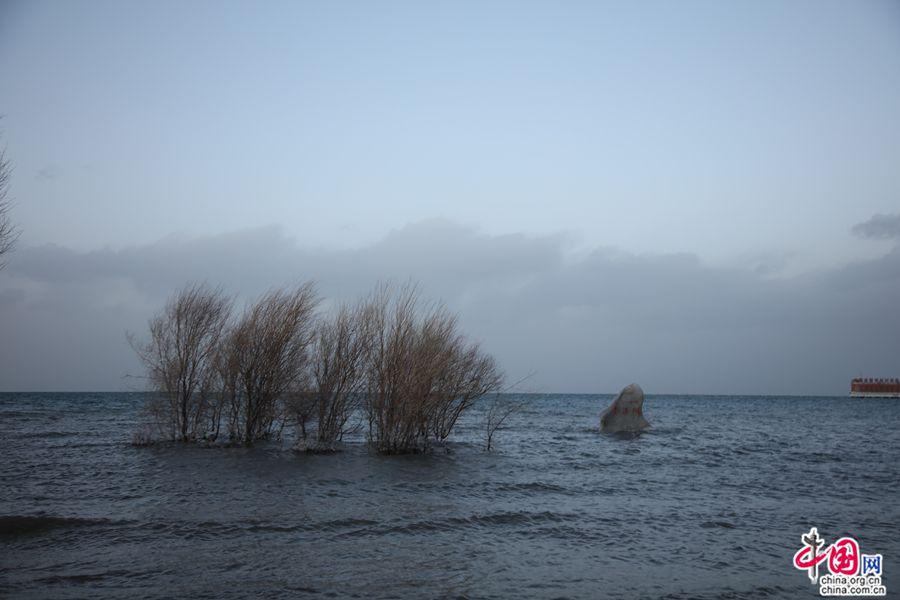 碧蓝湖畔 青海湖生态环境持续向好