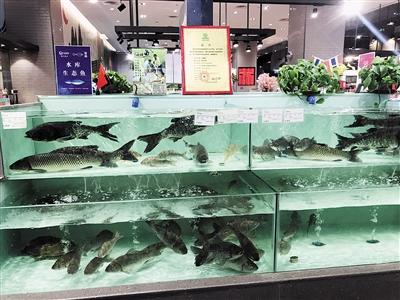 长江禁捕，影响市场淡水鱼销售吗？去集市上看看