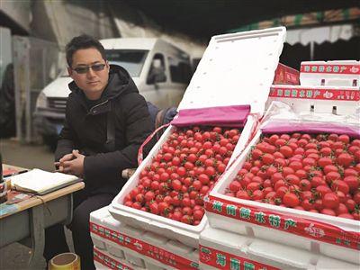 西红柿免费放行，圣女果为啥要缴费？高速“绿色通道”优惠政策生变或影响市场供应