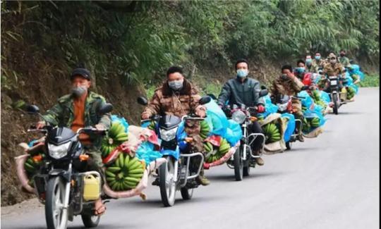 云南河口93户村民在往山下运输向湖北捐赠的香蕉