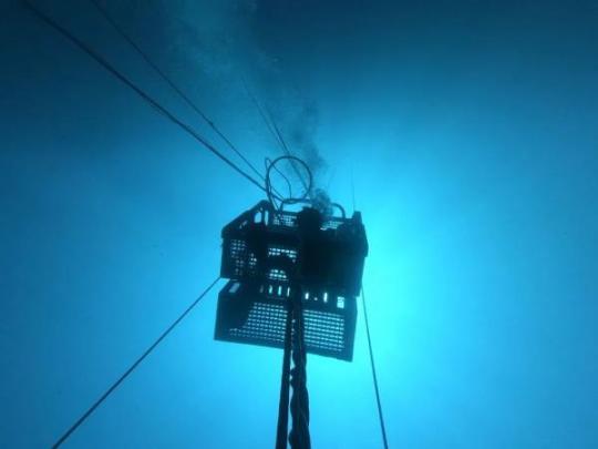 潜入深海！海军潜水员在南海某海域进行大深度潜水训练