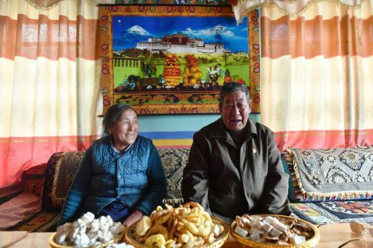 苦难和新生——西藏翻身农奴影像档案：索朗杨佩