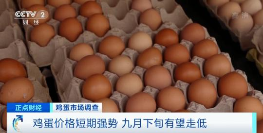 鸡蛋批发价快速上涨：1斤涨1元 还会继续涨吗？