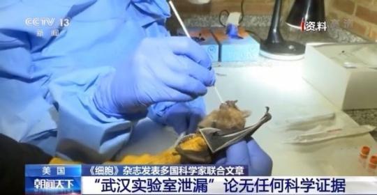 《细胞》杂志发表多国科学家联合文章：“武汉实验室泄漏”论无任何科学证据