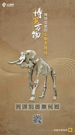海报丨探生命起源 赏生物多样 云南9大博物馆带您开启奇妙之旅