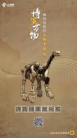 海报丨探生命起源 赏生物多样 云南9大博物馆带您开启奇妙之旅