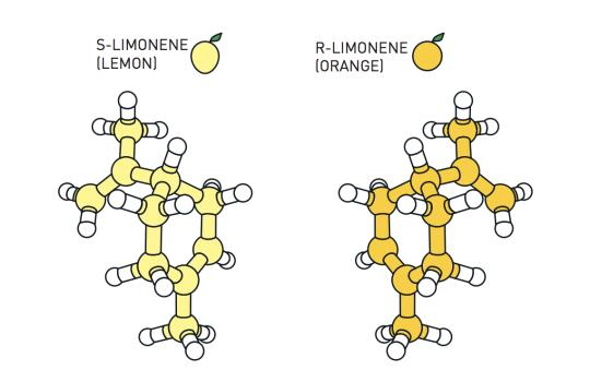 许多分子存在于两种变体中，一种是另一种的镜像。这些对身体有完全不同的影响。例如，柠檬烯分子有一种柠檬气味，而它的镜像闻起来像橙子。