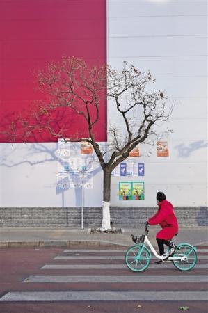 北京东直门网红树引游人打卡 现场增加协管员维持秩序
