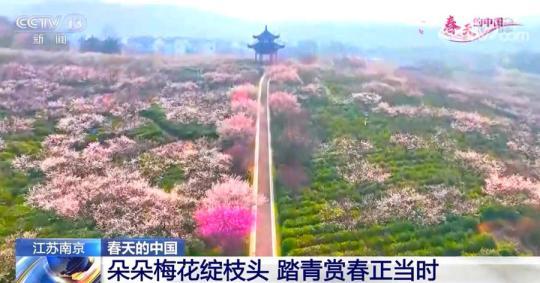 春和景明 万物勃发 一起感受春天中国的大美与活力
