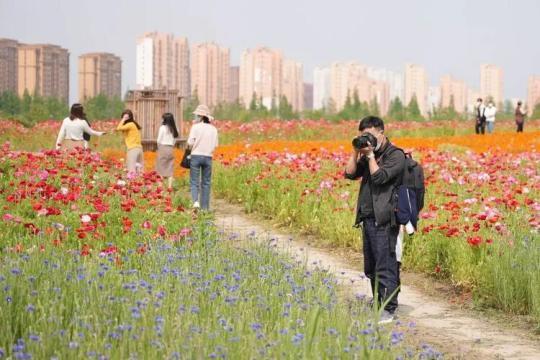 熟悉的上海 正在渐渐回来