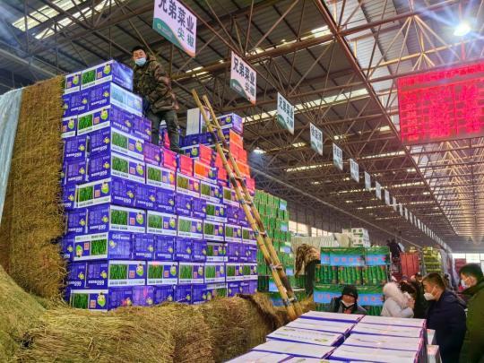 山东寿光地利农产品物流园的商户在卸车。(新华社记者 陈国峰 摄)