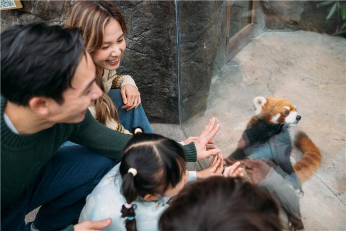 访客在海洋公园与小熊猫互动。(香港海洋公园供图)