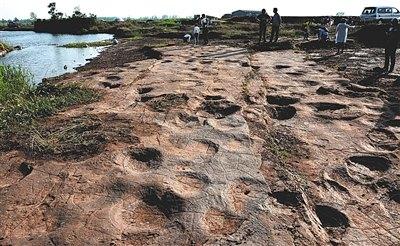 侏罗纪猜想证实 山东郯城县发现超过300个恐龙足迹