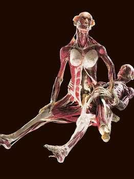 德国艺术展览:用尸体表现男欢女爱(图)