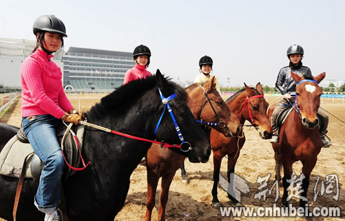 武汉首批女大学生准骑师签约 落马是家常便饭