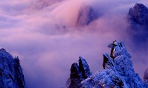 《紫气“冬”来》 摄影：李麟