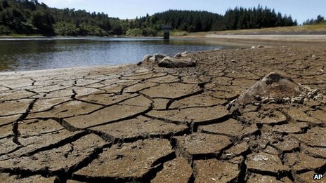 新西兰北岛遭遇70年一遇大旱 经济遭受冲击