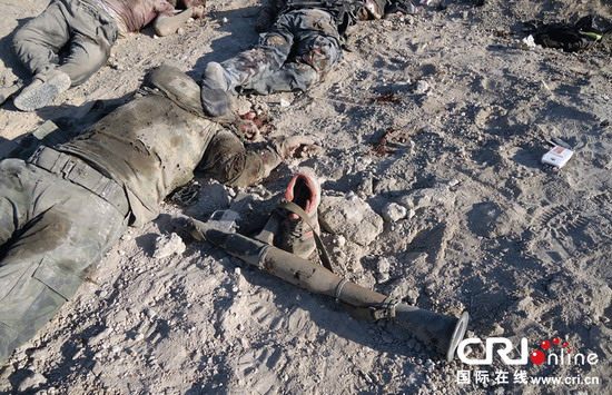 叙利亚反对派武装遭政府军埋伏 致62人死亡(图)