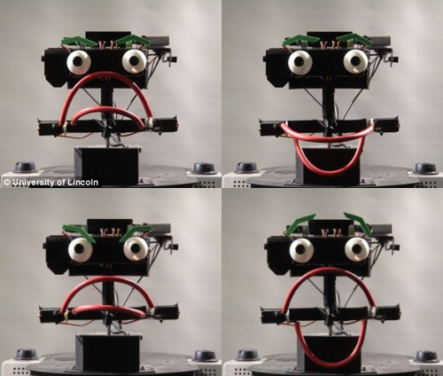 英国研发“情感机器人”喜怒哀乐表情多（图）