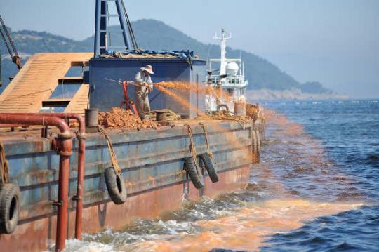 韩国南部海域赤潮扩散 致80余万条养殖鱼死亡