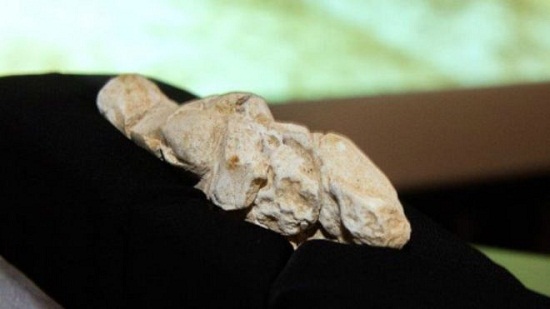 法国发现2.3万年前女性雕像 凸显女性特征 
