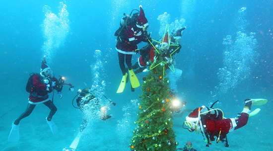 日本推出海底圣诞树 潜水者可享受水中圣诞(图)