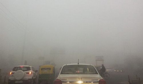 印度北部遭遇寒潮 大雾笼罩新德里(图)