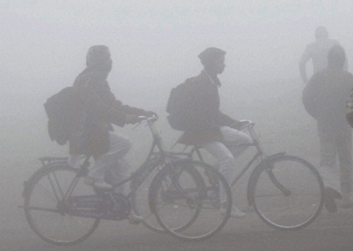印度北部遭遇寒潮 大雾笼罩新德里(图)