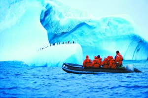 专家：南极游游客数量增多或严重威胁企鹅健康