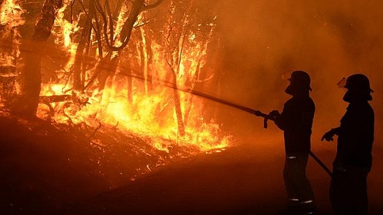 澳大利亚南部山火损数十房屋多地进入紧急状态