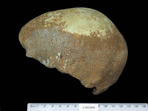 科学家于穴居人洞穴中发现智人头骨化石(图)