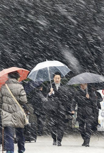 日本首都圈遭遇大雪致20人伤陆空交通陷入混乱