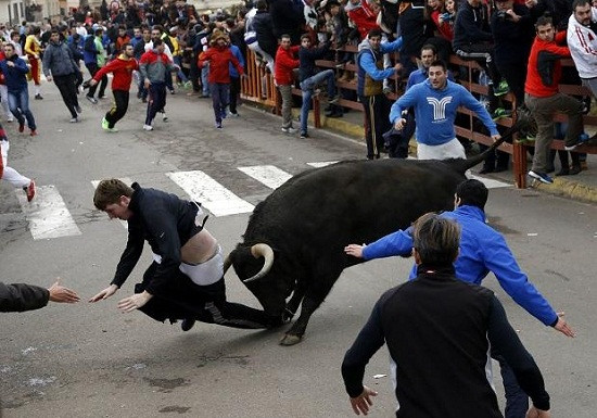 男子看斗牛遭公牛连番顶撞裤子撞飞受重伤（图）