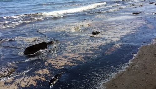 美国加州附近海域发生石油泄漏蔓延数公里（图）