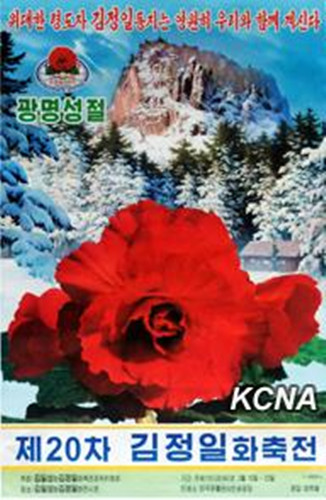 朝鲜第20届金正日花节宣传画问世 庆祝光明星节(图)