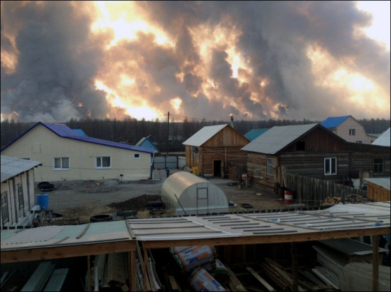 俄罗斯远东森林大火肆虐 一昼夜毁林9600公顷