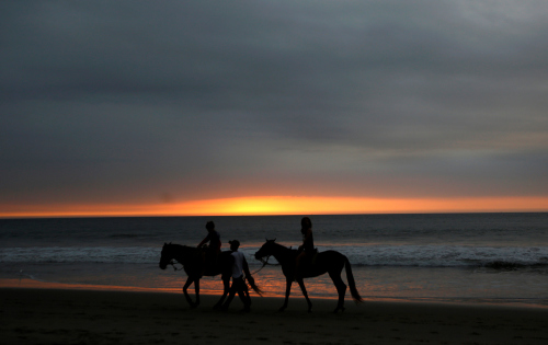 感受拉美别样风情：夕阳西下骑马漫步海滩（图）