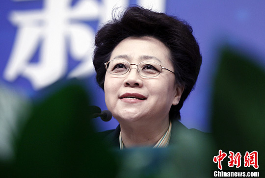 民政部副部长:四方面推动中国基层民主自治