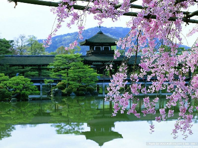 走进日本人的心灵故乡--京都(图)
