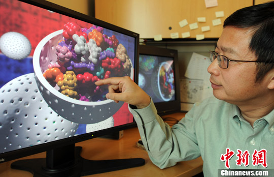 南加州大学华裔教授陈林首创人体基因三维结构